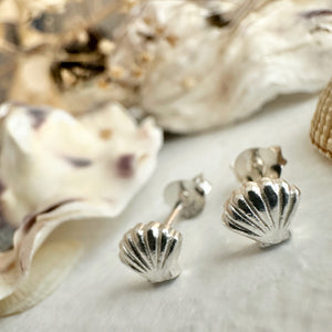 She Sells Sea Shells Tiny Shell Stud Earrings in Sterling Silver