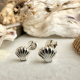 She Sells Sea Shells Tiny Shell Stud Earrings in Sterling Silver