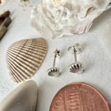 She Sells Sea Shells Tiny Shell Stud Earrings in Sterling Silver