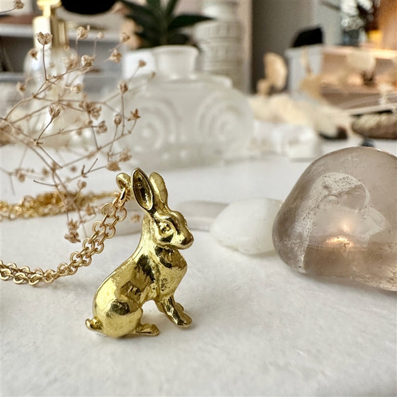 Basil Hare Charm Necklace in Raw Brass